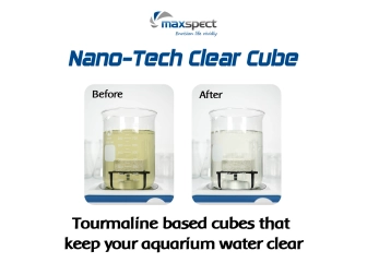 Nano Tech Clear Cube 8pcs Maxspect