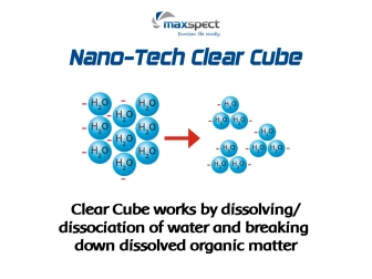 Nano Tech Clear Cube 8pcs Maxspect