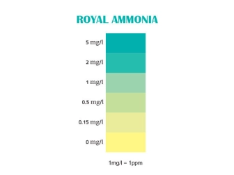 Ammonia Professional Test 100T Royal Nature