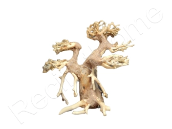 WYSIWYG BONSAI 13*13CM BON3