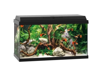 Aquarium PRIMO 70 BLANC JUWEL