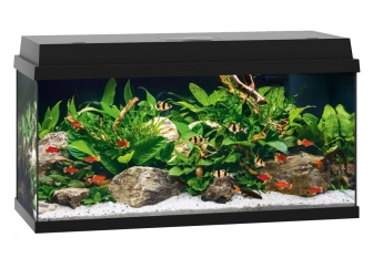 Aquarium PRIMO 110 NOIR JUWEL