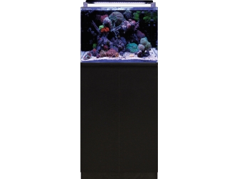 MEUBLE NOIR BLUE MARINE REEF 120