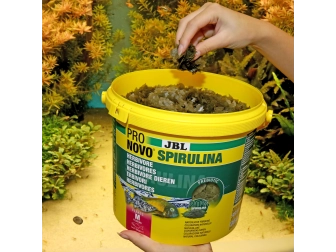 JBL PRONOVO SPIRULINA FLAKES M 5,5l