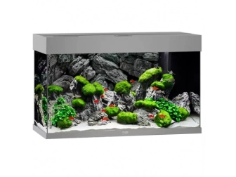 Aquarium RIO 125 LED (2x14w) gris  JUWEL sans meuble