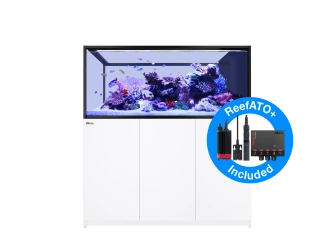 Peninsula G2+ S-700 aquarium Redsea 