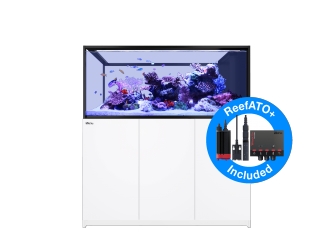 Peninsula G2+ S-700 aquarium Redsea 