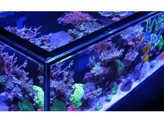 Peninsula G2+ S-700 aquarium Redsea 