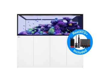 Peninsula G2+ S-950 aquarium Redsea 