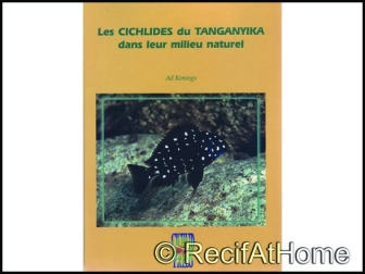 LES CICHLIDES DU TANGANYKA 