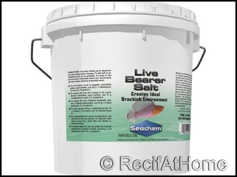 LIVE BEARDED SALT 4 kg