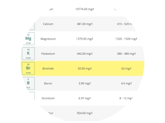 ICP OES analysis 35 elements  TRITON