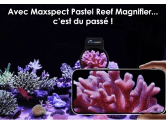 Maxspect Pastel Reef Magnifier L