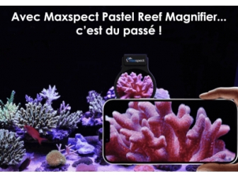 Maxspect Pastel Reef Magnifier L