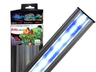 Blue/White LED ramp RAL G2