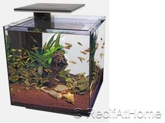 Zoetwateraquarium