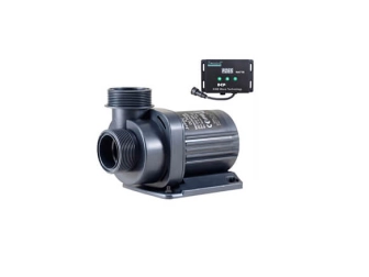 Directional flow pumps