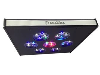 Autres LED