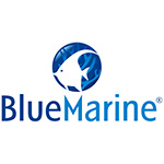 Blue marine