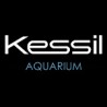 Kessil