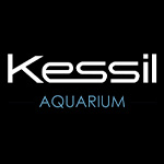 Kessil